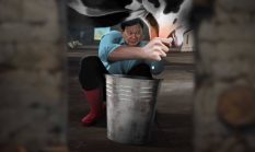 Ironi di Balik Ambisi Susu Gratis Prabowo